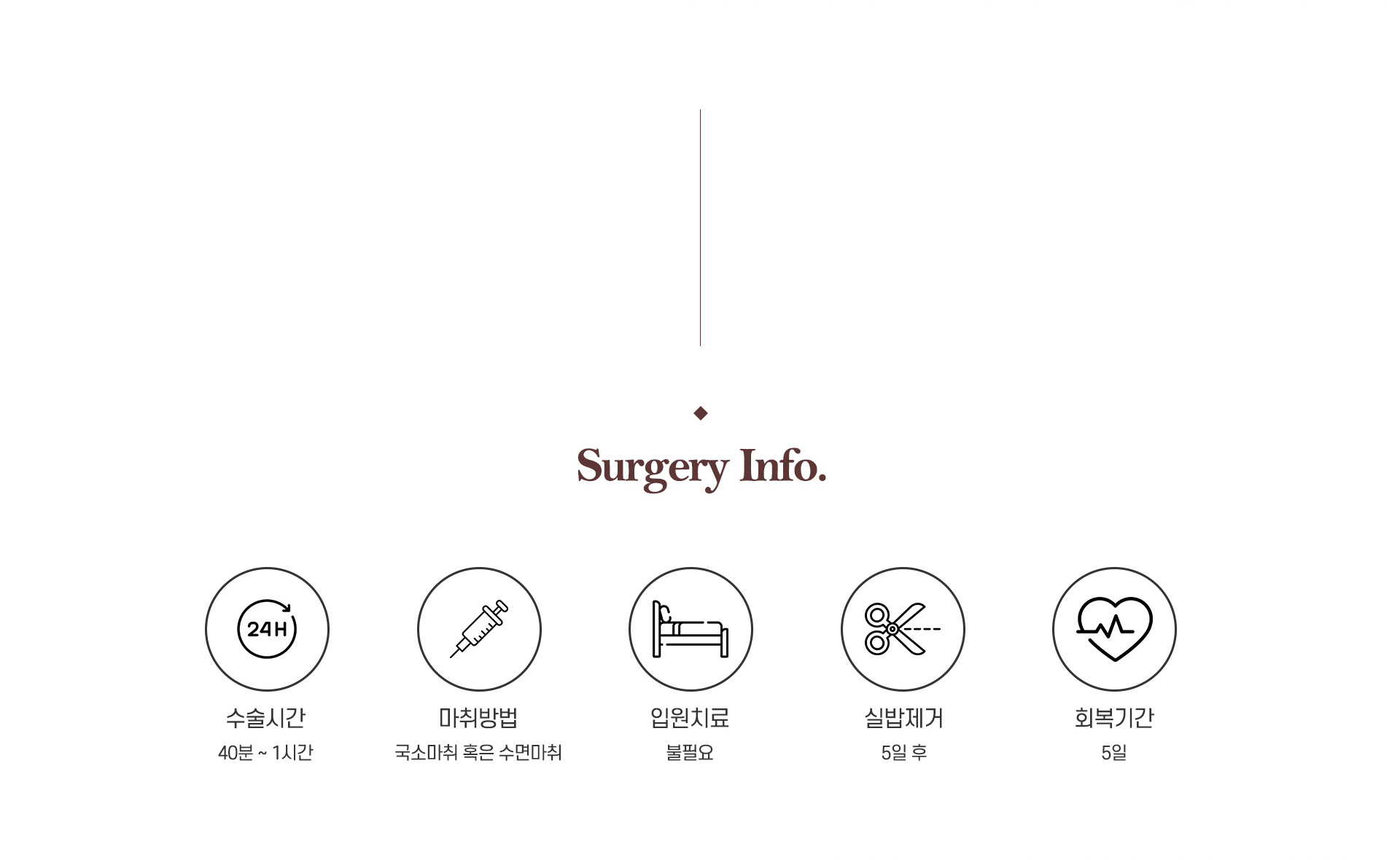 눈매교정 수술정보